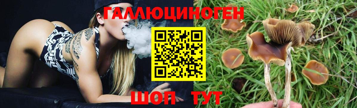 Троицк  как найти закладки  Галлюциногенные грибы GOLDEN TEACHER  Вход с VPN  Псилоцибиновые грибы мицелий 